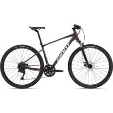 XL City Bikes Giant Roam Disc 2 2024 Hybrid Sports Bike - Charcoal Plum Men's Bike