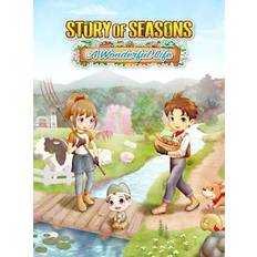 STORY OF SEASONS: A Wonderful Life (PC)