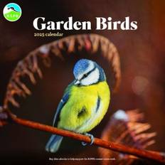 Wall Calendars RSPB Garden Birds Wall Calendar 2025