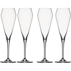 Spiegelau Willsberger Anniversary Champagne Glass 25.1cl 4pcs