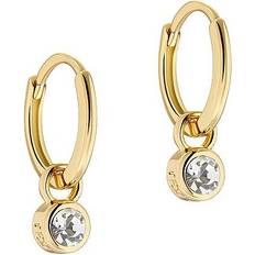 Ted Baker Sinalaa Huggie Earrings - Gold/Transparent