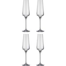 Habitat Dalston Set of 4 Champagne Glass