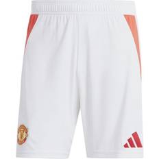 Manchester United FC Trousers & Shorts Adidas Men Manchester United 24/25 Home Shorts