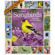 Workman Publishing Audubon Songbirds and Other Backyard Birds Picture-A-Day® Wall Calendar 2025 Calendar