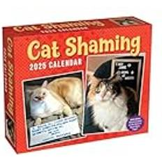 Wall Calendars Andrews McMeel Publishing Cat Shaming Desk Calendar 2025