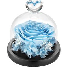 DuHouse YSH-W-001 Sky Blue Decorative Item