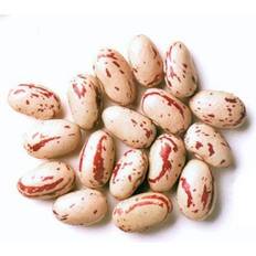 Jalpur Rosecoco beans crab eye beans 100g