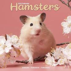 Wall Calendars Avonside Hamsters 2025 square wall calendar