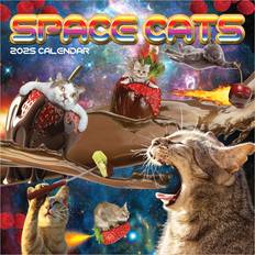 TF Publishing Space Cats 2025 Wall Calendar