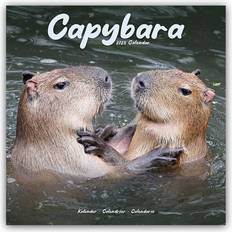 Wall Calendars Avonside Capybara Calendar 2025