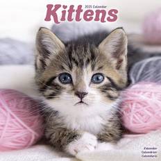 Wall Calendars Avonside Kittens Calendar 2025