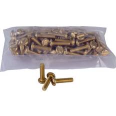 Schneider Electric 3747151 Brass Pan Head Machine Screws M4 x 16 mm Pack of 100