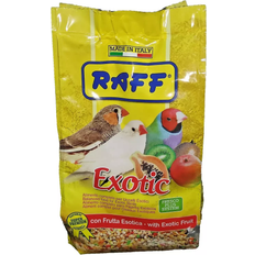 Birds Feed Natural Poultry Food with Exotic Fruit