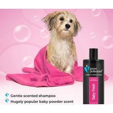 Groom Professional Baby Fresh Dog Shampoo 1 Litre