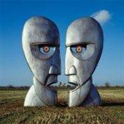 Pink Floyd - The Division Bell (1994 Remastered Version) (Vinyl)