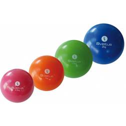 Sveltus Weighted Ball 2kg