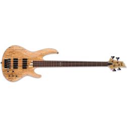 ESP B-204SM Fretless