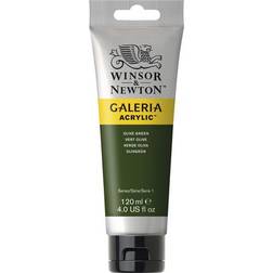 Winsor & Newton Galeria Acrylic Olive Green 120ml