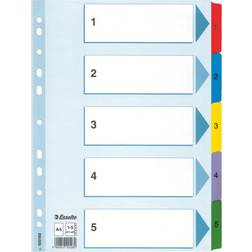 Esselte Register Mylar 1-5 A4