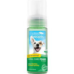 Tropiclean Fresh Breath Oral Care Foam