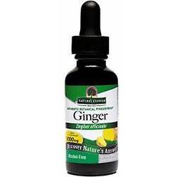 Nature's Answer Ginger Root 30ml