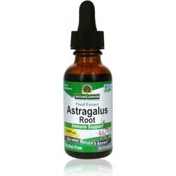 Natures Answer Astragalus Root 30ml