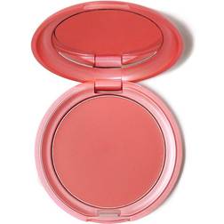 Stila Convertible Color Petunia