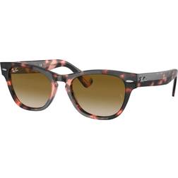 Ray-Ban Laramie RB2201 133451