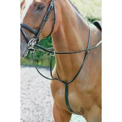 John Whitaker International Martingale Barton