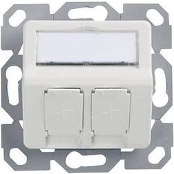 Telegärtner Telegaertner Network outlet Flush mount Insert with main panel Unequipped 2 ports Alpine white