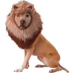 California Costumes Jungle King Dog Costume