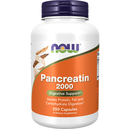 Now Foods Pancreatin 2000 250 pcs