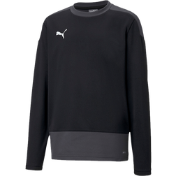 Puma Kid's TeamGOAL 23 Training Sweat - Puma Black/Asphalt (656568-03)