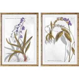 Dkd Home Decor Painting Botanical plants (50 x 2 x 70 cm) (2 pcs) Framed Art