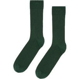 Colorful Standard Classic Organic Sock - Emerald Green