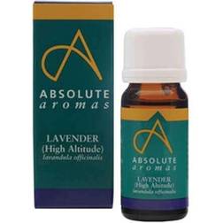 Absolute Aromas Lavender Oil 10ml