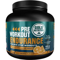 GoldNutrition Pre Workout Endurance Orange 300g