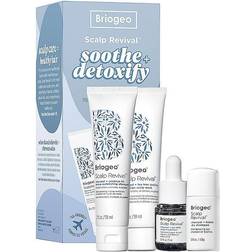 Briogeo Briogeo Scalp Revival Soothe Detoxify Travel Set for Dry Itchy, Oily Scalp