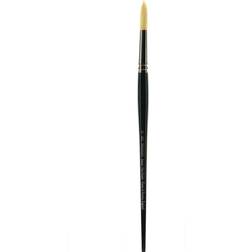 Winsor & Newton Winton Hog Brushes 12 round