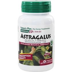 NaturesPlus Herbal Actives Astragalus 450 mg 60 Vegetarian Capsules