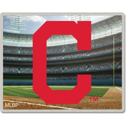 WinCraft Cleveland Indians Team Collector Pin