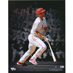 Fanatics St. Louis Cardinals Autographed Spotlight Photograph