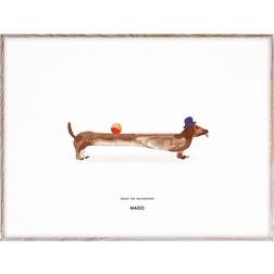 Paper Collective Doug the Dachshund 50x70 cm Poster