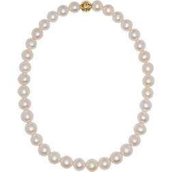 Anine Bing Classic Pearl Choker Necklace - Gold/Pearls