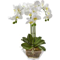 Nearly Natural Triple Phalaenopsis Orchid in Glass Artificial Plant