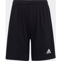 Adidas Entrada Short-royal-yl