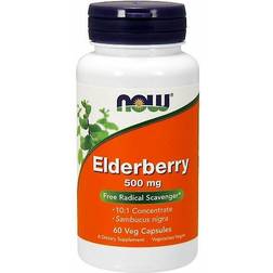 Now Foods Elderberry 500mg 120 pcs