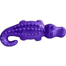 Arm & Hammer Ora Play Denta Saurus Mint Tough Dog Chew Toy