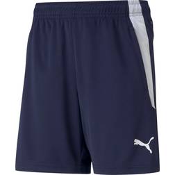 Puma teamLIGA Training Shorts