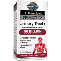 Garden of Life Dr. Formulated Probiotics Urinary Tract 50 Billion 60 pcs